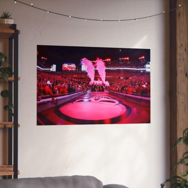 Tampa Bay Buccaneers Raymond James Stadium Fine Art Posters - Image 3