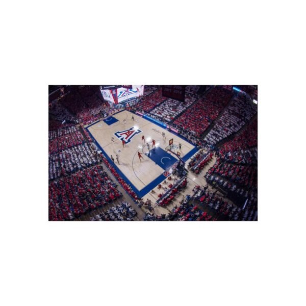 Arizona Wildcats McKale Center Fine Art Posters