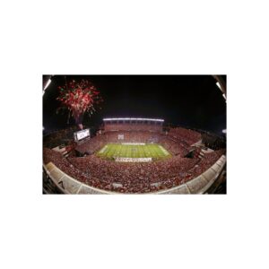South Carolina Gamecocks Williams-Brice Stadium Fine Art Posters