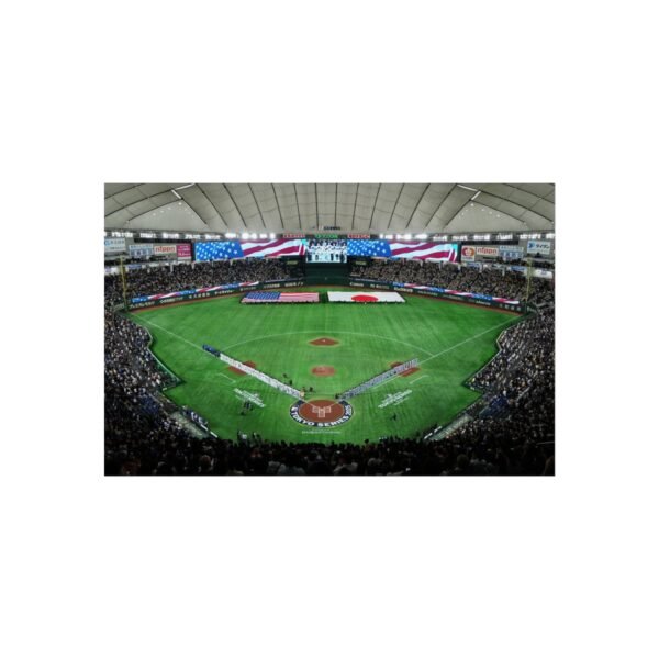 Tokyo Dome Fine Art Posters