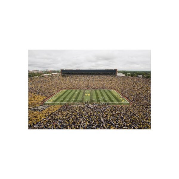 Michigan Wolverines Michigan Stadium Fine Art Posters