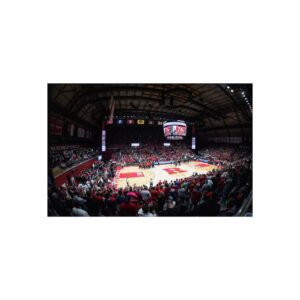 Rutgers Scarlet Knights Jersey Mike's Arena Fine Art Posters