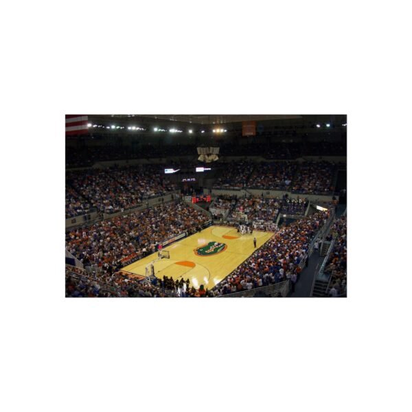 Florida Gators Stephen C. O'Connell Center Fine Art Posters