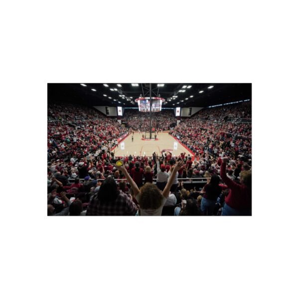 Stanford Cardinal Maples Pavilion Fine Art Posters