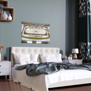 2020 Winter Classic Cotton Bowl Stadium - Nashville Predators vs  Dallas Stars Indoor and Outdoor Silk Posters