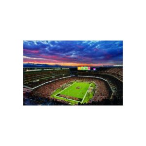 San Francisco 49ers Levi's Stadium Fine Art Posters