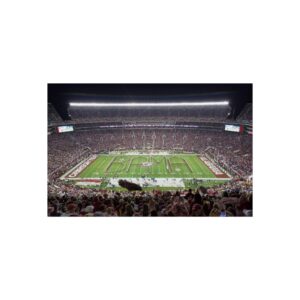 Alabama Crimson Tide Saban Field at Bryant–Denny Stadium Fine Art Posters