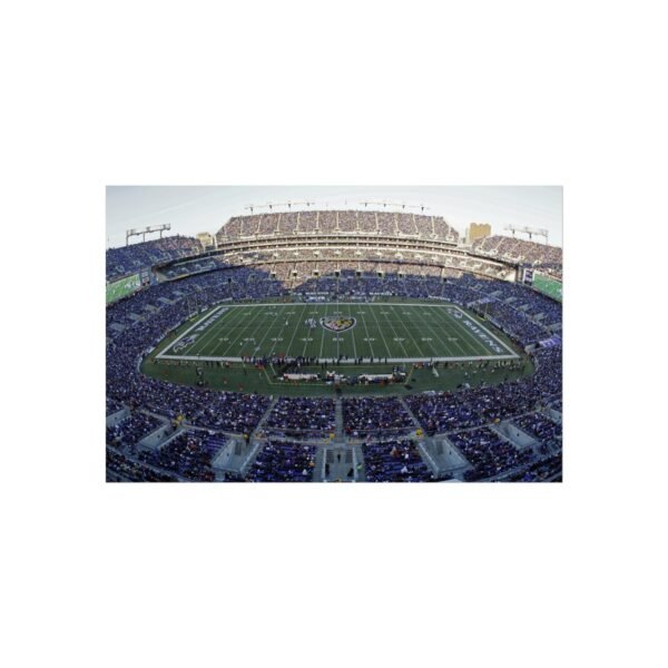 Baltimore Ravens M&T Bank Fine Art Posters