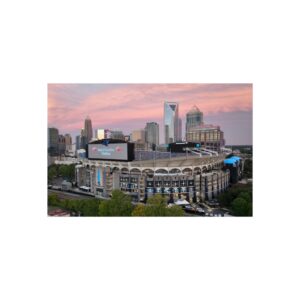 Carolina Panthers Bank of America Stadium Fine Art Posters