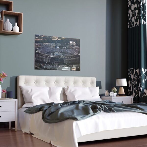 Carolina Panthers Bank of America Stadium Indoor and Outdoor Silk Posters