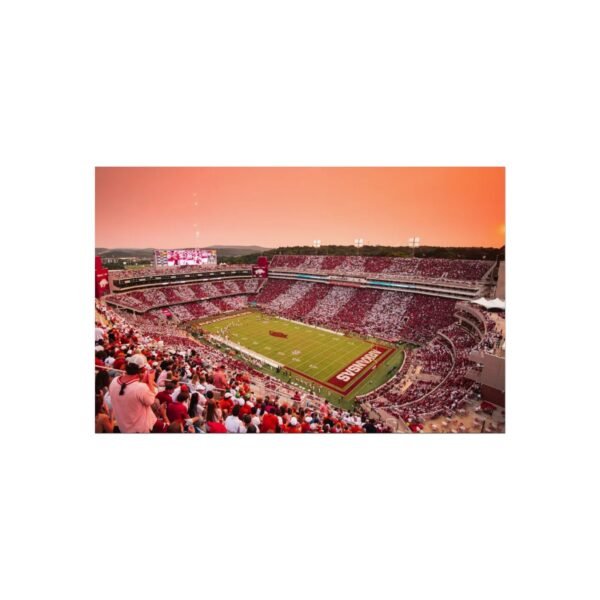Arkansas Razorbacks Donald W. Reynolds Razorback Stadium Fine Art Posters