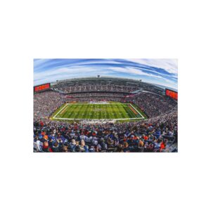 Chicago Bears Soldier Field Fine Art Posters
