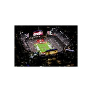 Tampa Bay Buccaneers Raymond James Stadium Fine Art Posters