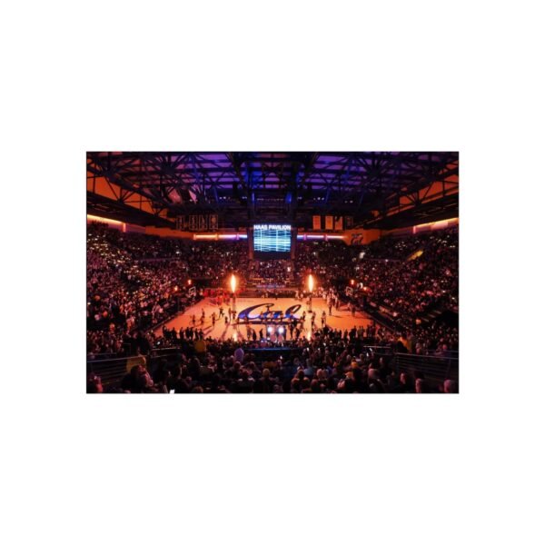 California Golden Bears Haas Pavilion Fine Art Posters
