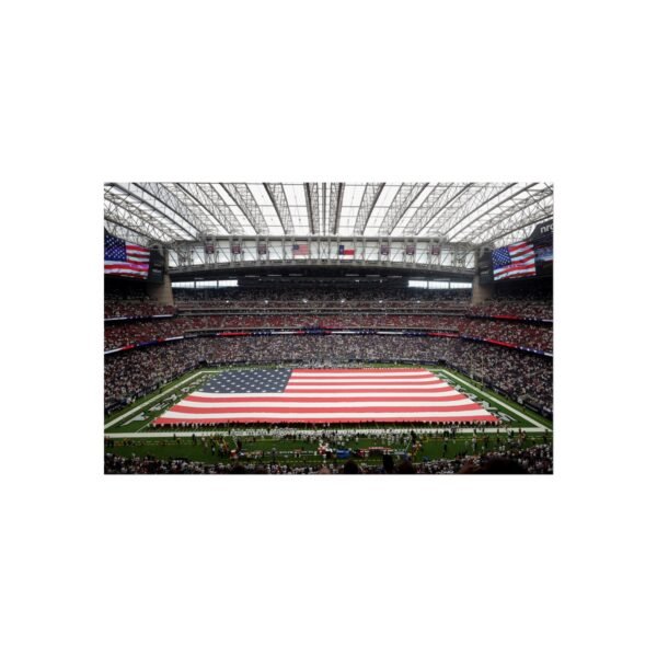 Houston Texans NRG Stadium Fine Art Posters