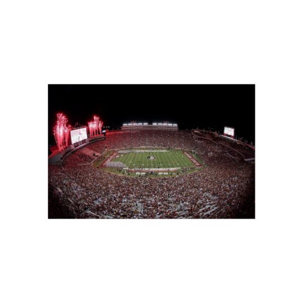 Florida State Seminoles Tucker Center Fine Art Posters