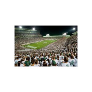 Michigan State Spartans Spartan Stadium Fine Art Posters
