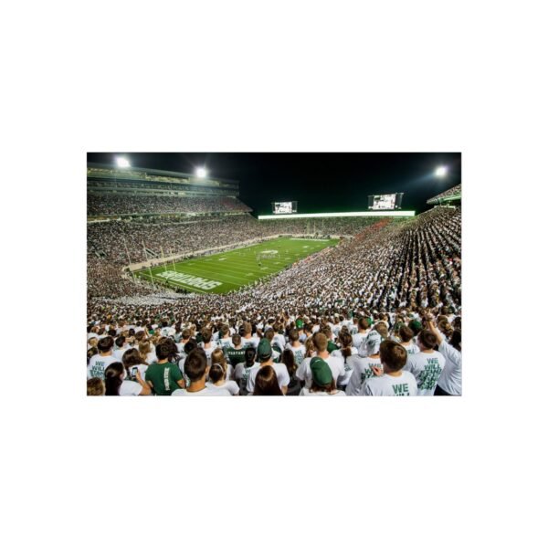 Michigan State Spartans Spartan Stadium Fine Art Posters