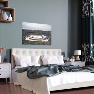 2020 Winter Classic Cotton Bowl Stadium - Nashville Predators vs  Dallas Stars Indoor and Outdoor Silk Posters