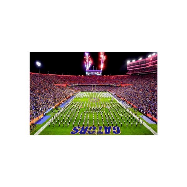Florida Gators Ben Hill Griffin Stadium Fine Art Posters