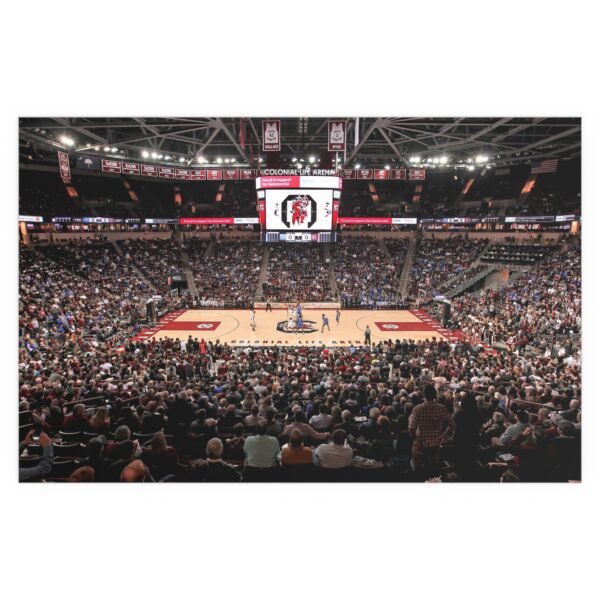 South Carolina Gamecocks Colonial Life Arena Indoor and Outdoor Silk Posters - Image 2