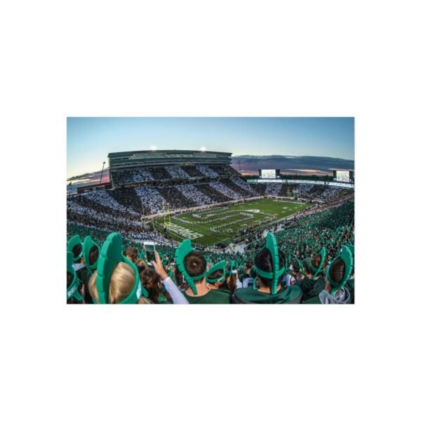 Michigan State Spartans Spartan Stadium Fine Art Posters