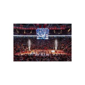 South Carolina Gamecocks Colonial Life Arena Fine Art Posters