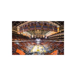Tennessee Volunteers Thompson-Boling Arena at Food City Center Fine Art Posters