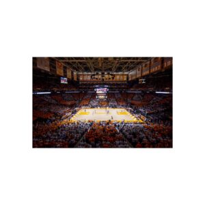 Tennessee Volunteers Thompson-Boling Arena at Food City Center Fine Art Posters