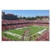 Stanford Cardinal Stanford Stadium Indoor and Outdoor Silk Posters - Image 2