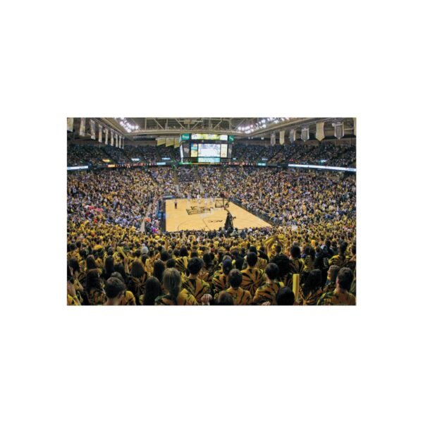 Wake Forest Demon Deacons Allegacy Federal Credit Union Stadium Fine Art Posters