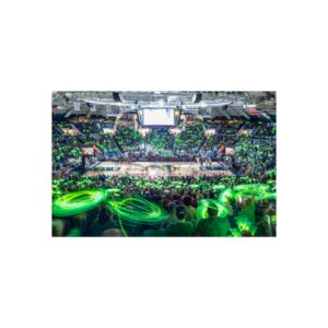 Notre Dame Fighting Irish Purcell Pavilion at the Edmund P. Joyce Center Fine Art Posters