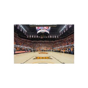 Oklahoma State Cowboys Gallagher-Iba Arena Fine Art Posters