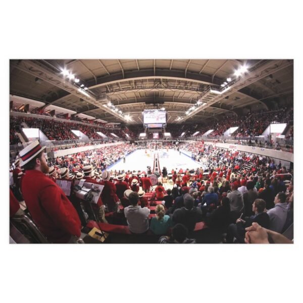 SMU Mustangs Moody Coliseum Indoor and Outdoor Silk Posters - Image 2
