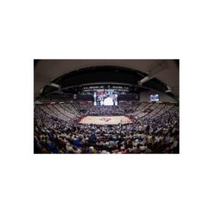 Texas A&M Aggies Reed Arena Fine Art Posters