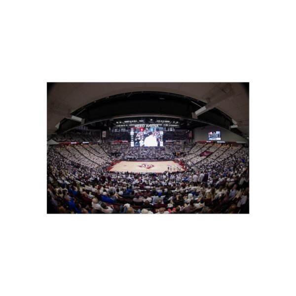 Texas A&M Aggies Reed Arena Fine Art Posters