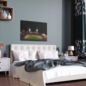 Colorado Buffaloes Folsom Field Indoor and Outdoor Silk Posters