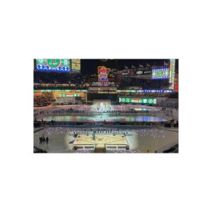 2022 Winter Classic Target Field - St. Louis Blues vs Minnesota Wild Fine Art Posters