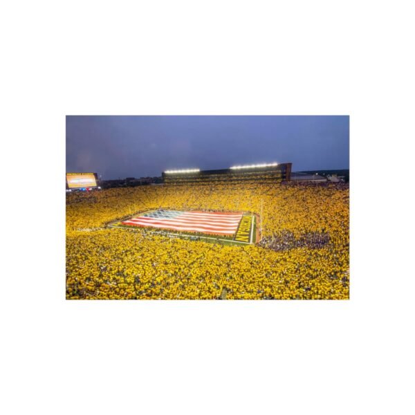 Michigan Wolverines Michigan Stadium Fine Art Posters