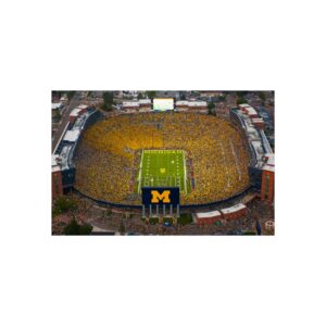 Michigan Wolverines Michigan Stadium Fine Art Posters