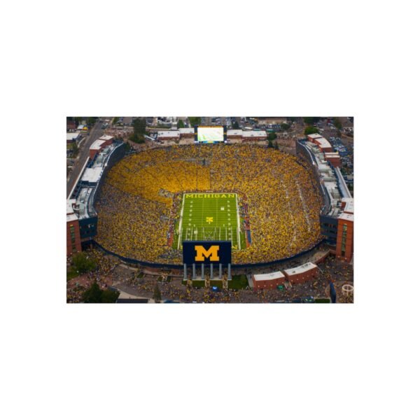 Michigan Wolverines Michigan Stadium Fine Art Posters