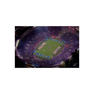 UCLA Bruins The Rose Bowl Fine Art Posters