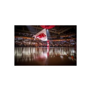 Arkansas Razorbacks Bud Walton Arena Fine Art Posters