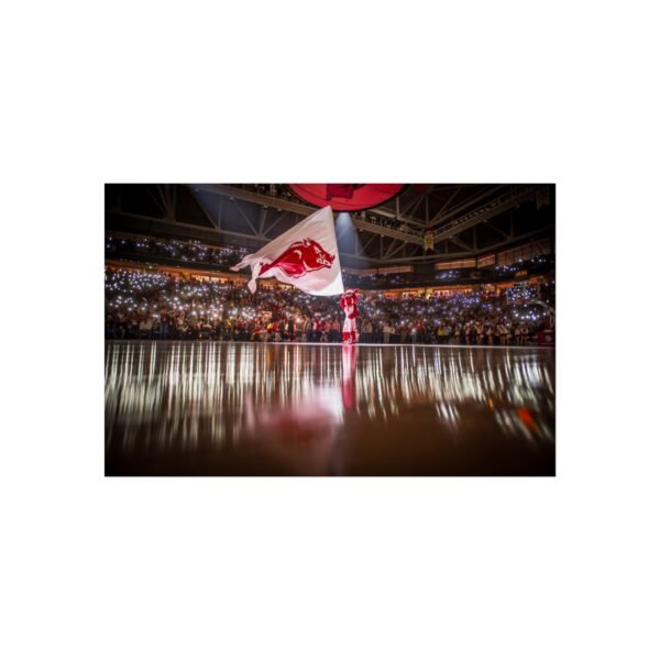 Arkansas Razorbacks Bud Walton Arena Fine Art Posters