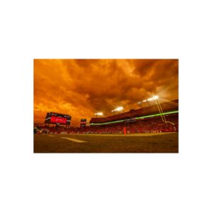 Tampa Bay Buccaneers Raymond James Stadium Fine Art Posters