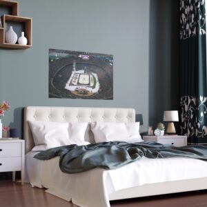 2020 Winter Classic Cotton Bowl Stadium - Nashville Predators vs  Dallas Stars Indoor and Outdoor Silk Posters