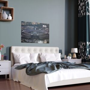 Carolina Panthers Bank of America Stadium Indoor and Outdoor Silk Posters