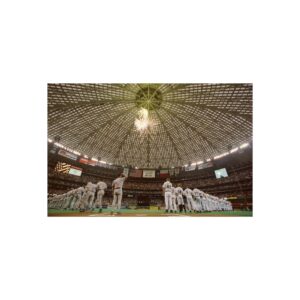 Houston Astros Astrodome Fine Art Posters