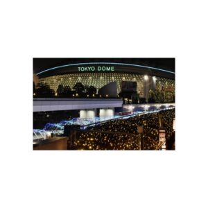 Tokyo Dome Fine Art Posters