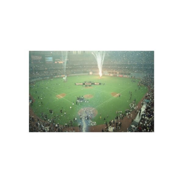 Seattle Mariners Kingdome Fine Art Posters